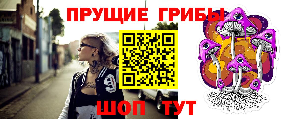 Аргун  Галлюциногенные грибы прущие грибы  Галлюциногенные грибы ЛСД  Вход с VPN 